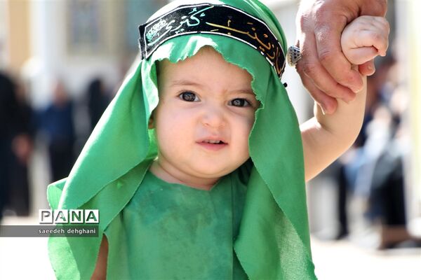 پانزدهمین همایش جهانی شیرخوارگان حسینی در شیراز