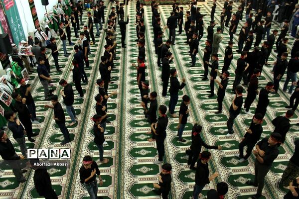 مراسم احلی من العسل در ساری