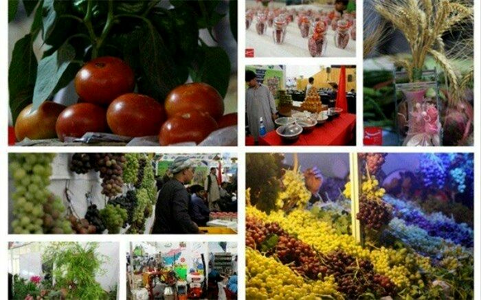 تا زمانى‌که آب برای کشاورزان رایگان است، شاهد دشت‌هاى خشکیده در استان هستیم