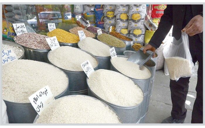 رئیس انجمن تولیدکنندگان برنج: نرخ منطقی برنج در شهرهای شمالی حدود 20 هزار تومان است