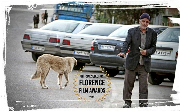 فیلم کوتاه باران برای تو می‌بارد در جشنواره بین المللی Florence Film Awards ایتالیا