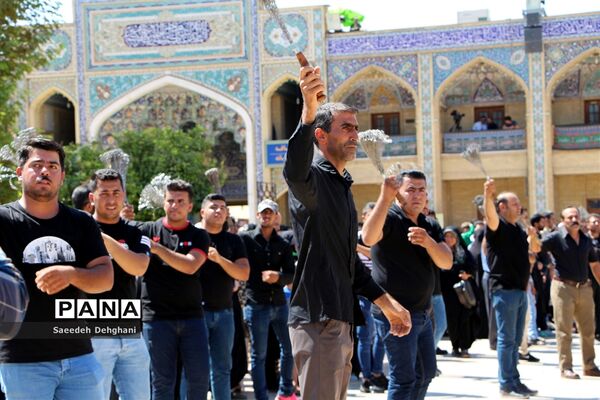 عزاداری مردم شیراز در تاسوعای حسینی