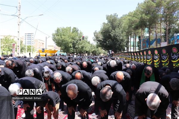 ظهر عاشقی