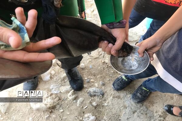 آیین عزاداری حسینی در شهرستان باغملک