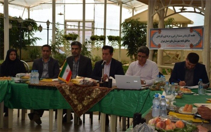 شفیع پور:درصد پایین بیکاری درمیان فارغ التحصیلان رشته‌های مهارتی حاکی از نیاز جامعه به این نوع آموزشهامیباشد