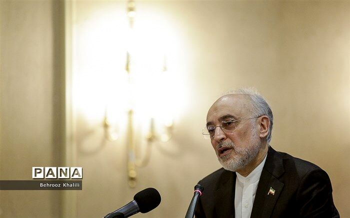 صالحی: ایران با وجود 3 درصد تاسیسات هسته‌ای جهان  20 درصددسترسی‌ها را برای آژانس فراهم کرده است