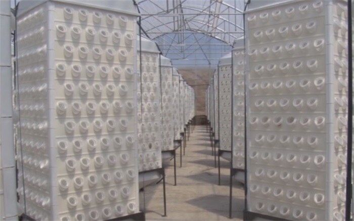 استفاده از سیستم جدید گلخانه ای"هواکشت" با فناوری ایروپونیک در البرز