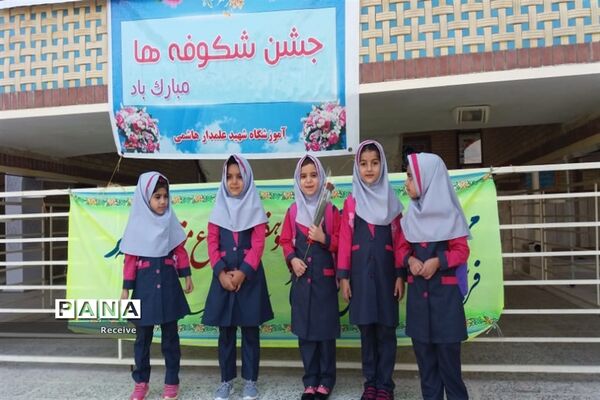 آئین زنگ شکوفه‌ها در کنار تخته