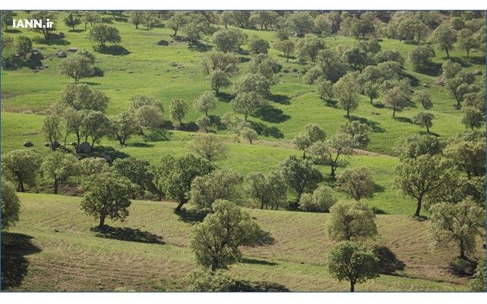 تعیین تکلیف اراضی اختلافی میان اوقاف و منابع طبیعى در شهرستان سروستان