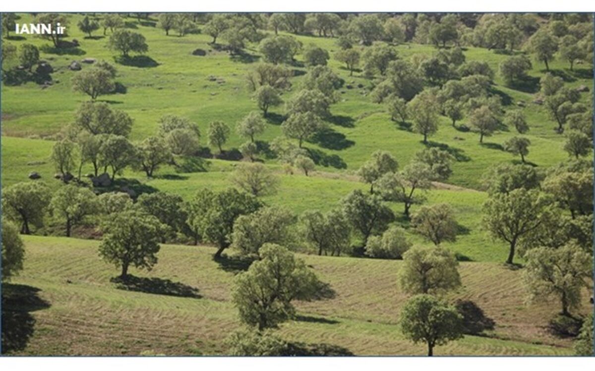تعیین تکلیف اراضی اختلافی میان اوقاف و منابع طبیعى در شهرستان سروستان