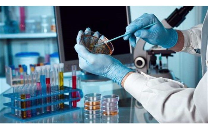 هشدار نایب رئیس انجمن آسیب‌شناسی درباره  رانت‌خواری با ایجاد شبکه آزمایشگاهی