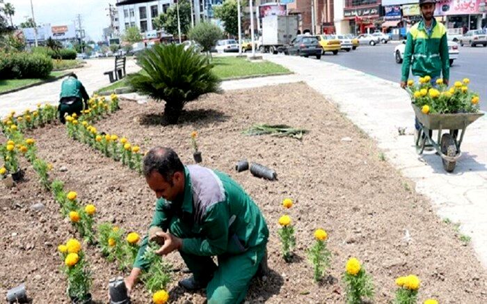 آماده‌سازی معابر تالش برای بازگشایی مدارس
