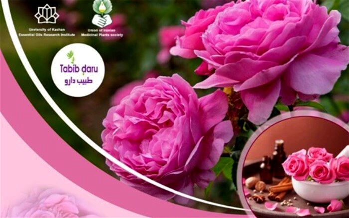 دومین کنفرانس بین المللی گل محمدی در پژوهشکده اسانس‌های طبیعی دانشگاه کاشان برگزار می شود