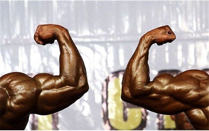 نفرات برتر رقابت‌های پرورش‌اندام یزد معرفی شدند