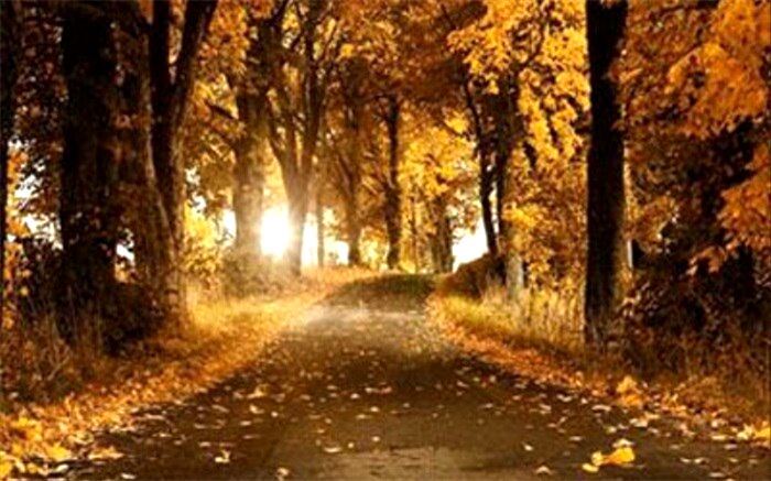 تاثیرات تغییرات اقلیمی و  پاییز گرم!