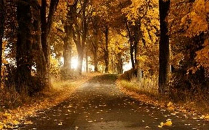 تاثیرات تغییرات اقلیمی و  پاییز گرم!