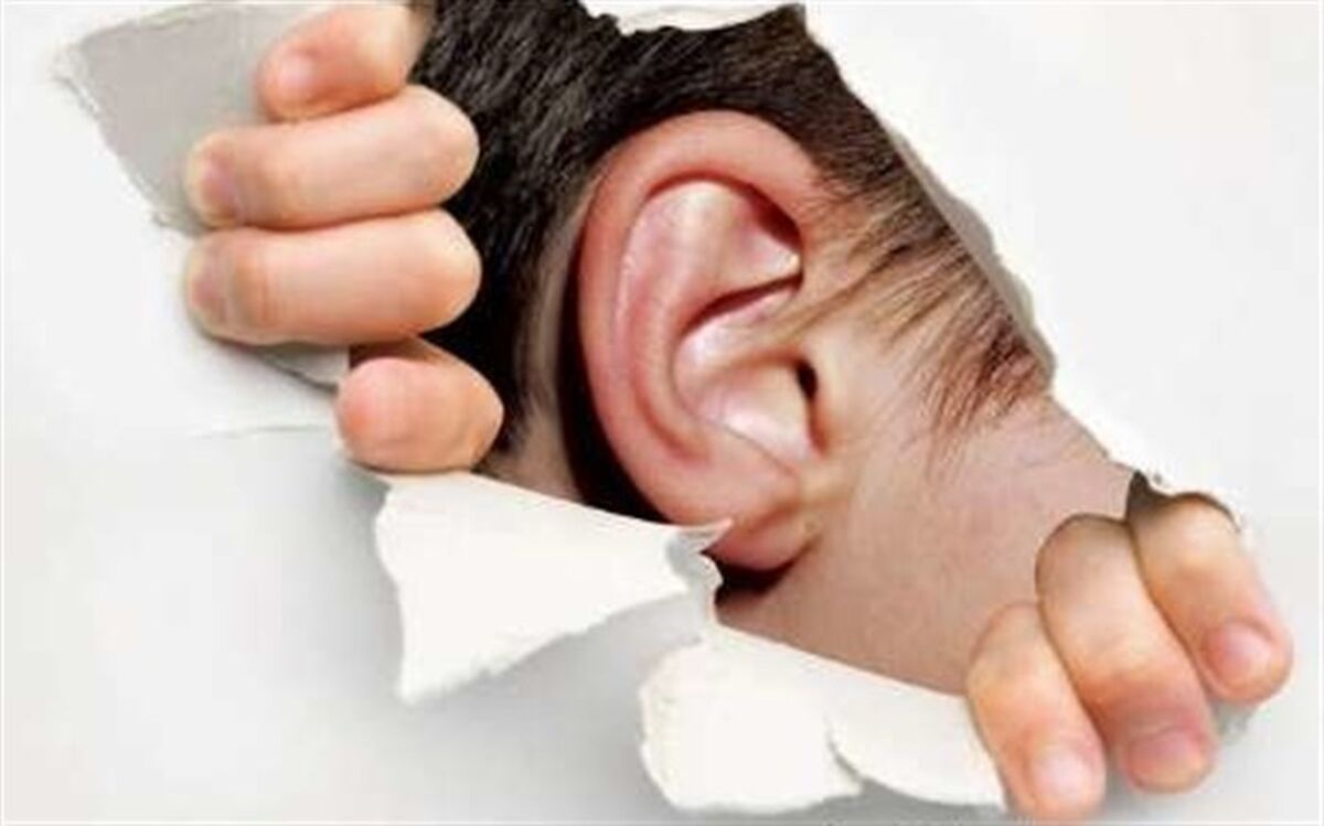 بهره مندی ۵ هزار ناشنوای استان اردبیل از خدمات حمایتی بهزیستی