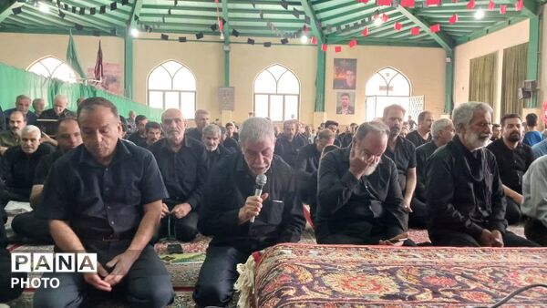 آیین نخل برداری  در محله دشتک سانیج به مناسبت شهادت امام رضا (ع)