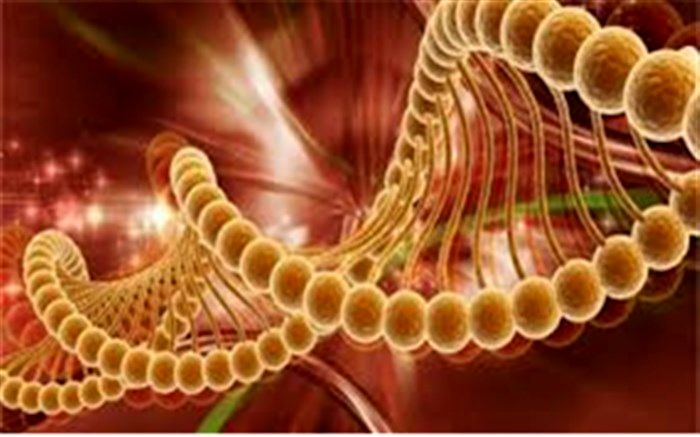 ابتلای سالانه حدود 100 هزار نفر به  سرطان در ایران