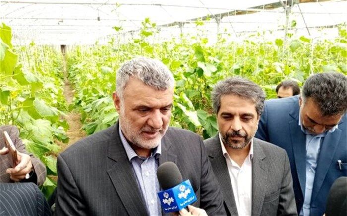 توسعه گلخانه‌ها از اهداف و سیاست‌های وزارت جهاد کشاورزی است