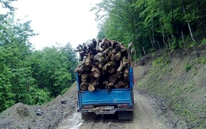 با صدای اره برقی گریسته‌ام