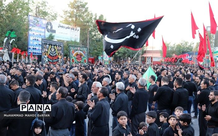 ایجاد قابلیت جدید در سامانه اعلام وضعیت زائران اربعین