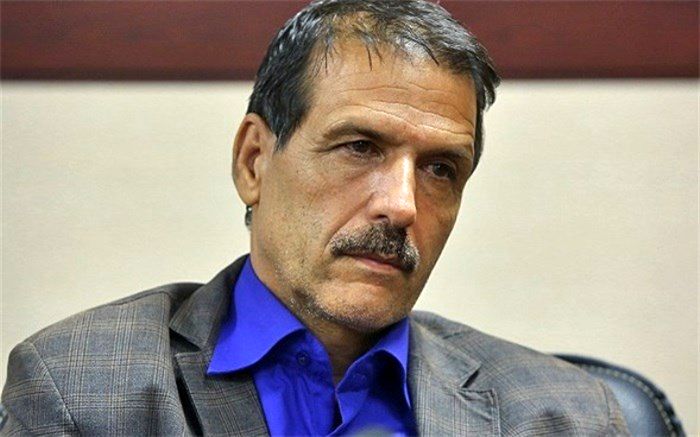 نقش شبکه های برون مرزی در انتقال مبانی اصلی نظام به فرامرزها در گفت‌وگو با محدث خراسانی