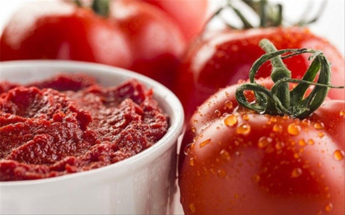 کارخانه رب‌گیری 300 هزار تنی کشت و صنعت مغان راه‌اندازی می‌شود