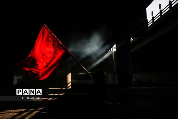 راهپیمایی جاماندگان اربعین حسینی - تهران