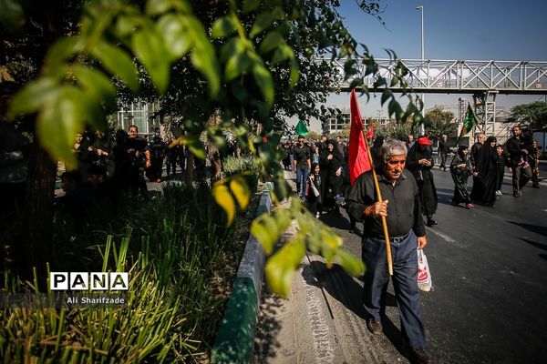 راهپیمایی جاماندگان اربعین حسینی - تهران