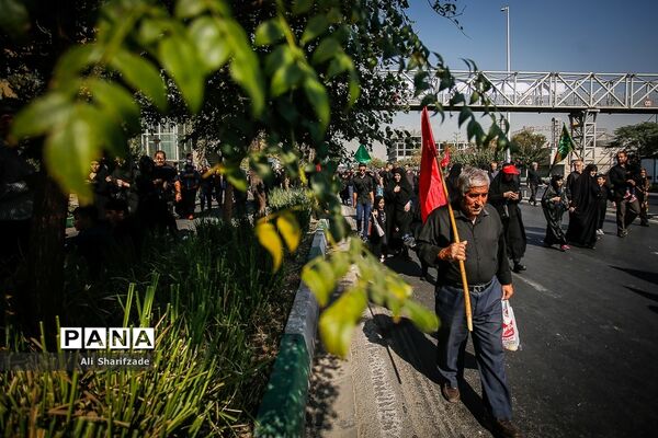 راهپیمایی جاماندگان اربعین حسینی - تهران