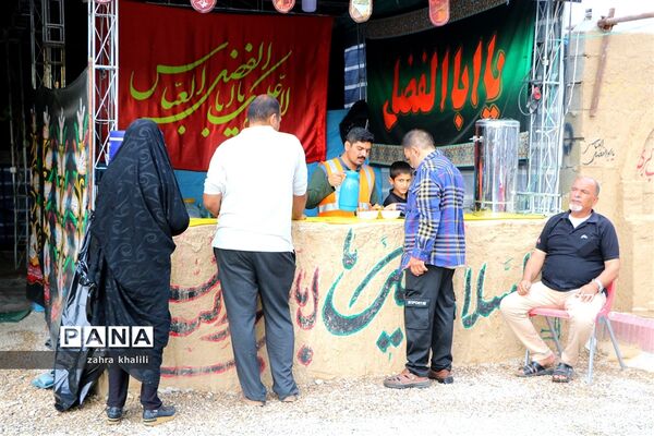 خادمی حسین (ع) در کربلای معلی