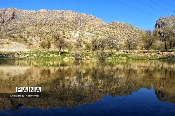 طبیعت زیبای تنگ نرگسی در کازرون فارس