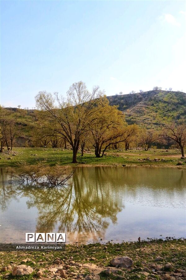 طبیعت زیبای تنگ نرگسی در کازرون فارس