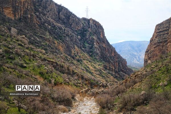 طبیعت زیبای تنگ نرگسی در کازرون فارس