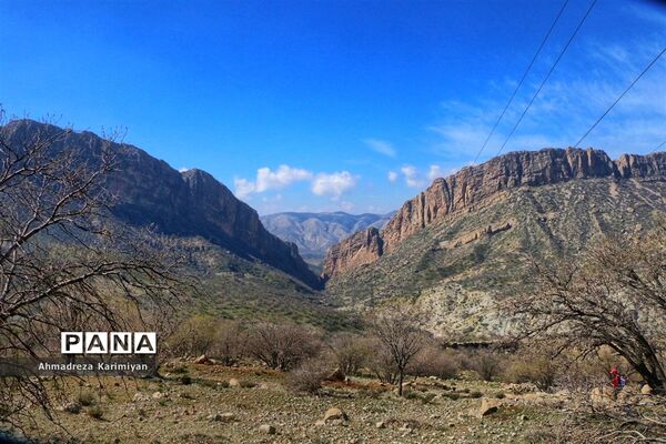 طبیعت زیبای تنگ نرگسی در کازرون فارس