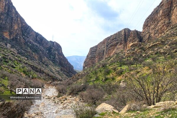 طبیعت زیبای تنگ نرگسی در کازرون فارس