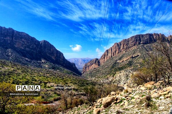 طبیعت زیبای تنگ نرگسی در کازرون فارس