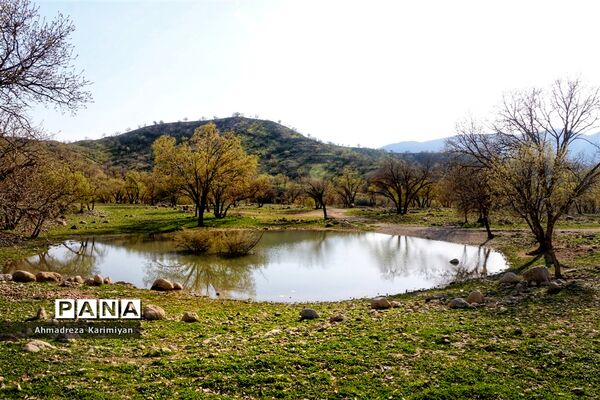 طبیعت زیبای تنگ نرگسی در کازرون فارس