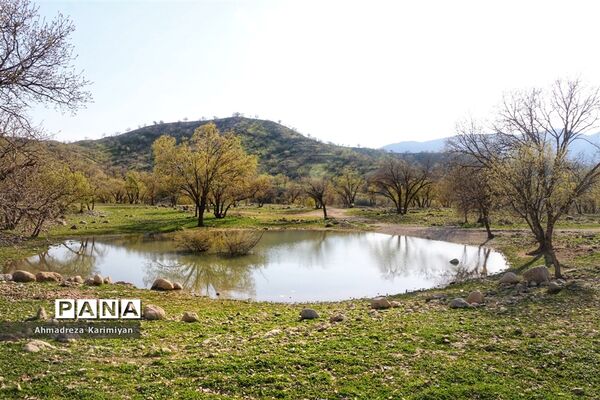 طبیعت زیبای تنگ نرگسی در کازرون فارس