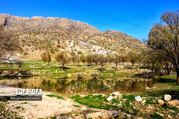 طبیعت زیبای تنگ نرگسی در کازرون فارس