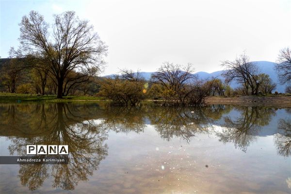 طبیعت زیبای تنگ نرگسی در کازرون فارس