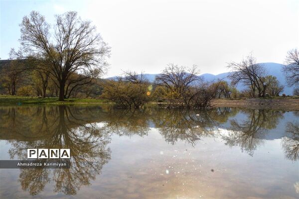 طبیعت زیبای تنگ نرگسی در کازرون فارس