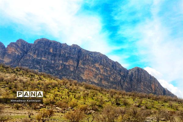 طبیعت زیبای تنگ نرگسی در کازرون فارس