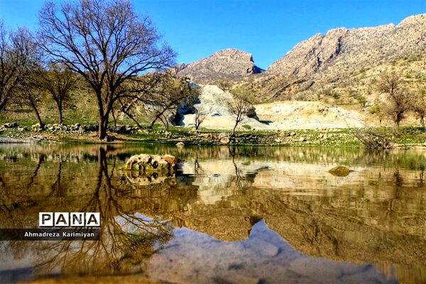 طبیعت زیبای تنگ نرگسی در کازرون فارس