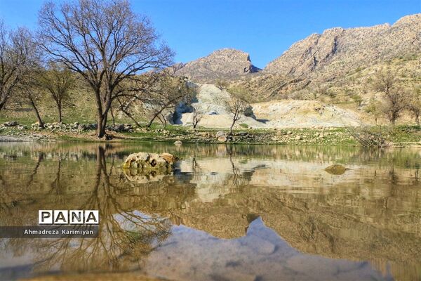 طبیعت زیبای تنگ نرگسی در کازرون فارس
