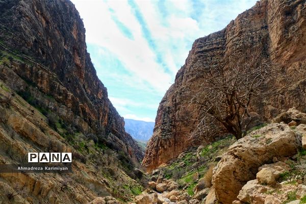 طبیعت زیبای تنگ نرگسی در کازرون فارس