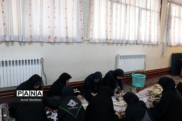 بازدید مدیر سازمان دانش‌آموزی خراسان رضوی از خدمت‌رسانی پیشتازان به زائران امام رضا (ع)