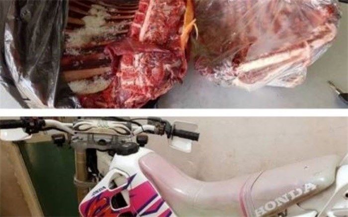 دستگیری یک متخلف از قانون شکار و صید در شهرستان بهاباد