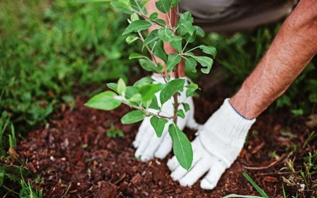 اولین رویداد استارتاپی مدیریت پسماند و محیط زیست در مازندران برگزار می‌شود